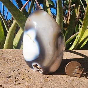 Orca Agate ornament